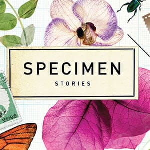Specimen by Irina Kovalyova. No Credit.