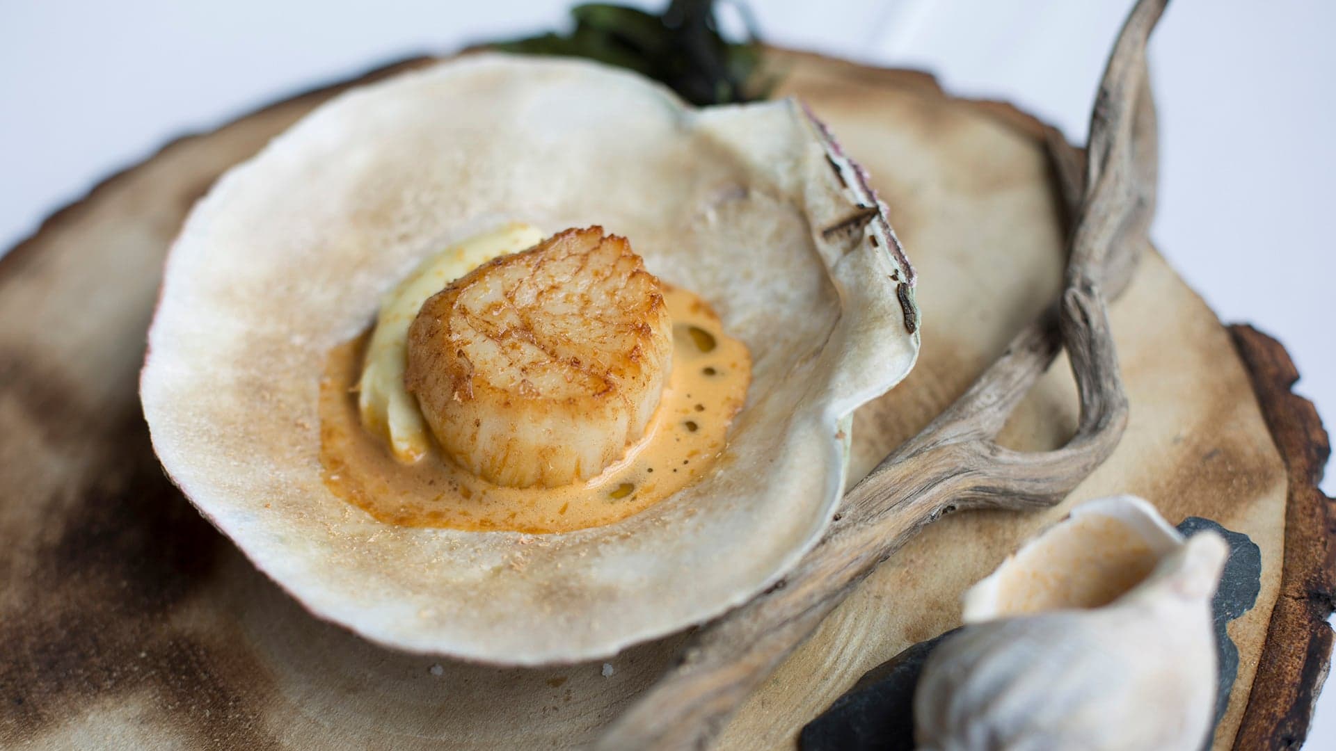 What it feels like to cook Newfoundland scallops with chef Jeremy Charles