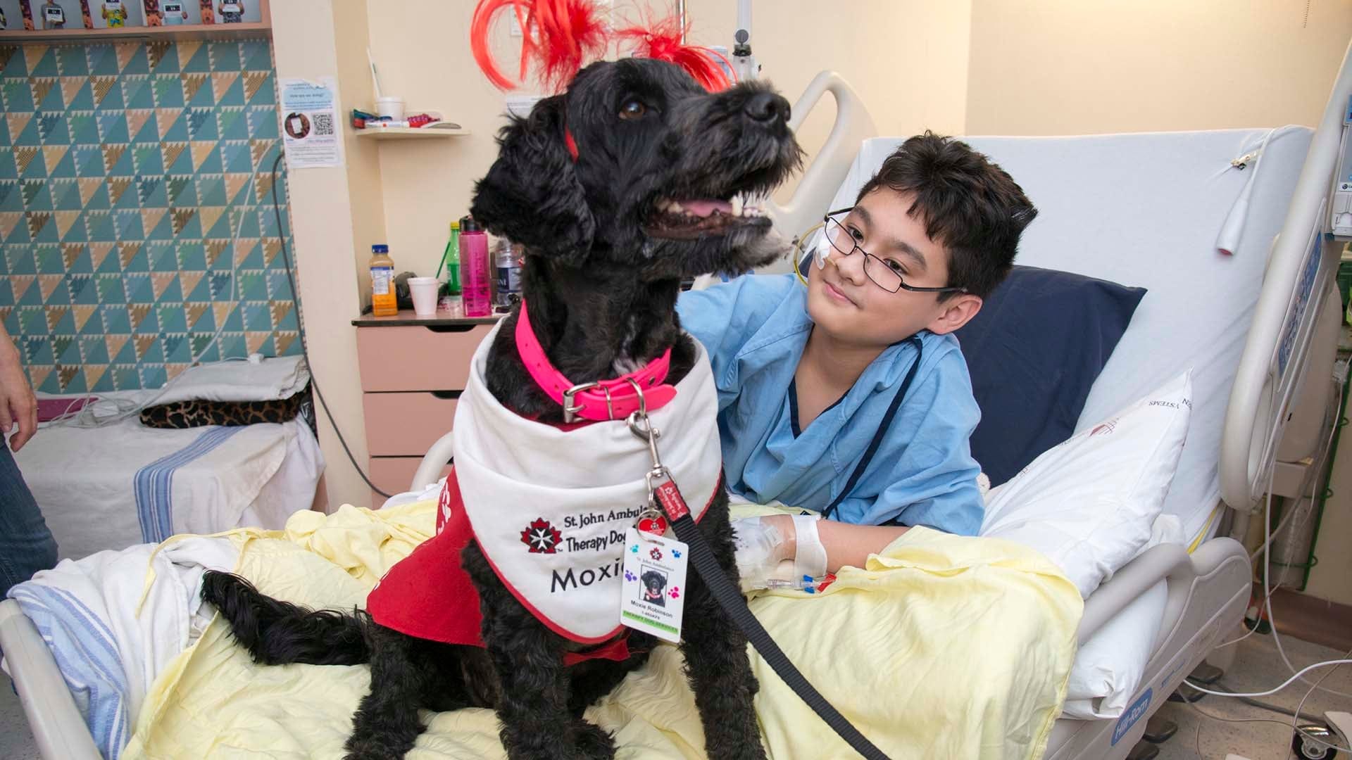 13639244001_4313693296001_FINAL-DogTherapy-1920x1080.jpg