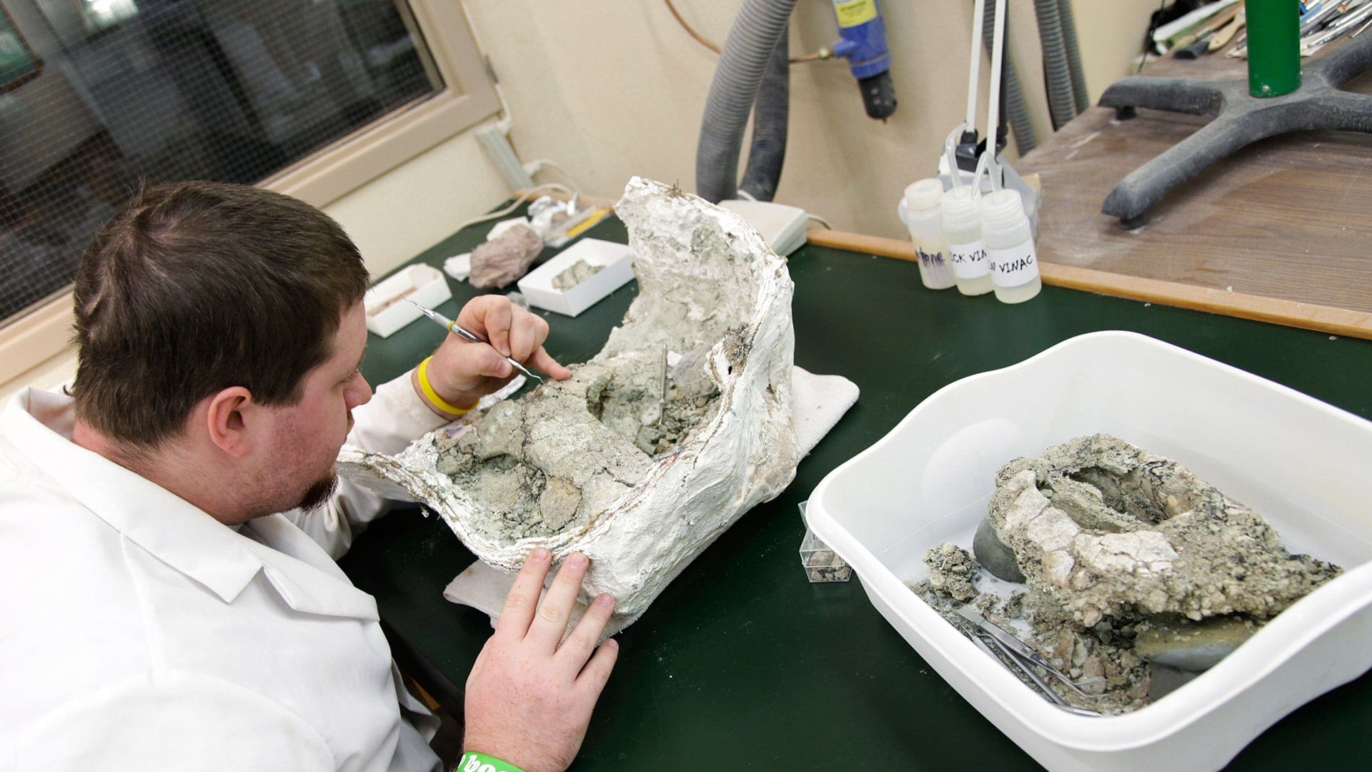 13639244001_4356391123001_MAC30-148-DIGGING-FOR-DINOS-BRIGHTCOVE.jpg
