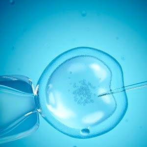 In vitro fertilisation, illustration. (SEBASTIAN KAULITZKI/Getty Images)