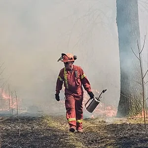 A fire control expert selectively lights small shrubs during a prescribed burn in High Park, Toronto, on April 15, 2016. (Kenneth Chou)