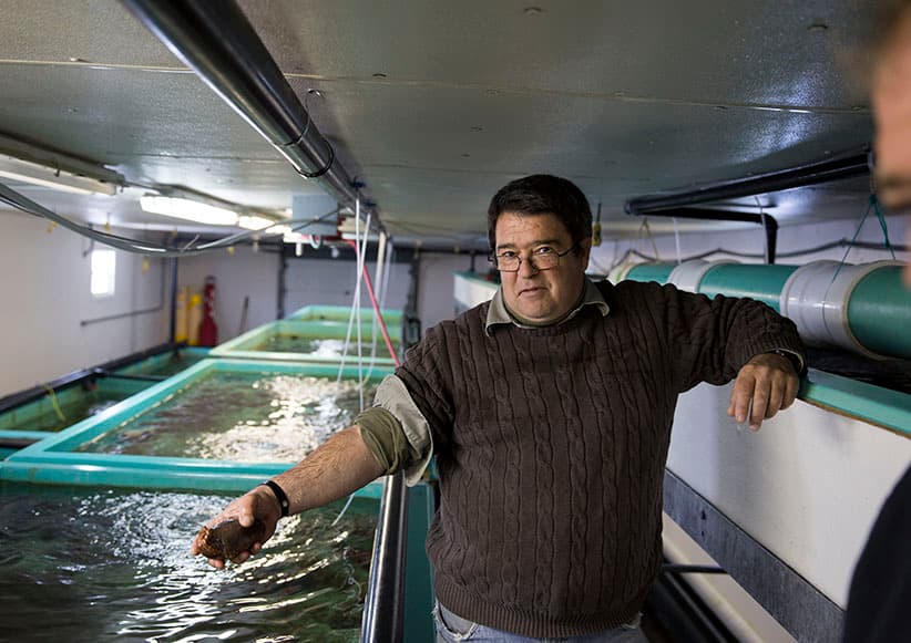 College of the North Atlantic CNA Wave Energy Research Centre