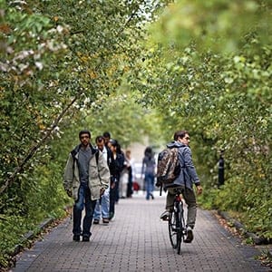 Campus life at the University of Toronto. (Photograph by Andrew Tolson)