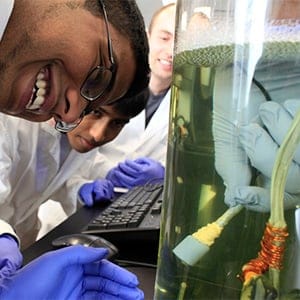 Under the direction of T.A. Mark Binette, Aerospace Engineering students work on the oscillation of bubbles to better understand the interplay between density, viscosity, etc. (Photograph by Jessica Darmanin)