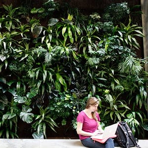 Kaley Fitzsimmons, an Environmental Studies student, takes a seat infront of the Living Wall found in the Environment 3 (EV3) building. (Photograph by Jessica Darmanin)