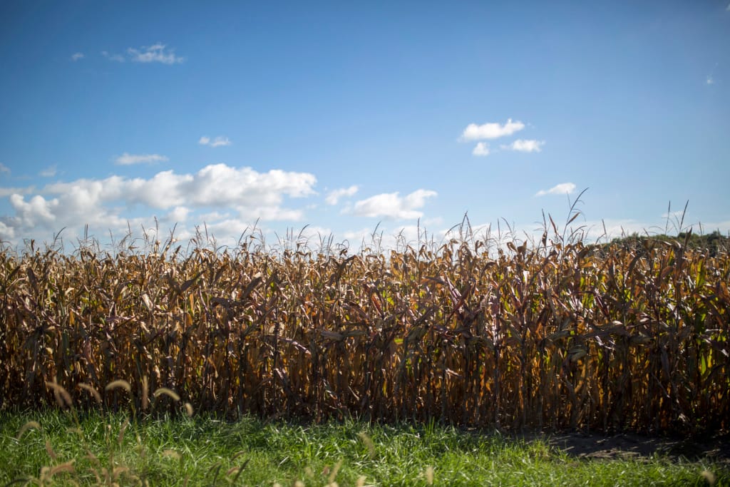 Ottawa County, Ohio.