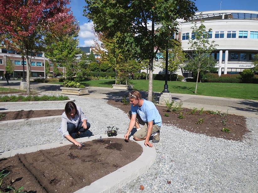 Douglas College researchers