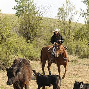 Lakeland College farming students