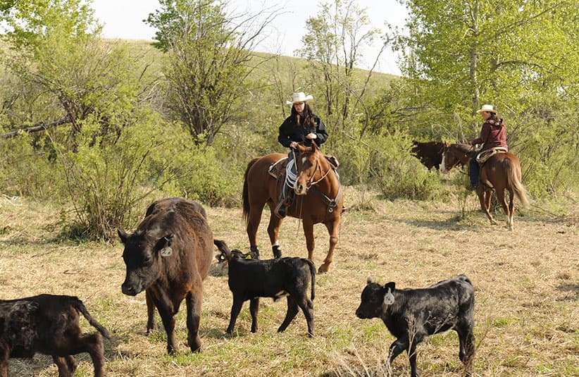 Lakeland College farming students