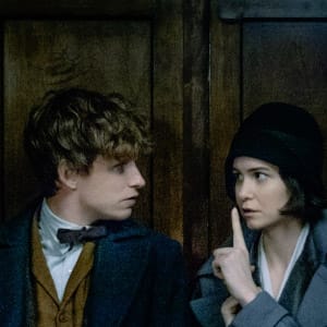 Fantastic Beasts and Where to Find Them. (Jaap Buitendijk/Warner Bros. Entertainment)
