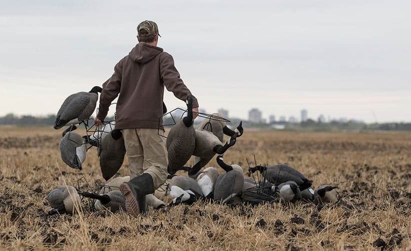 University of Manitoba student hunting geese