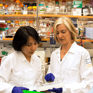 Gene-editing_feature