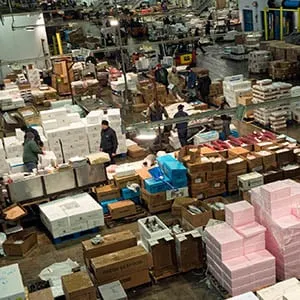 The New Fulton Fish Market is one of the busiest wholesale seafood markets in the world. New York, NY, (Zun Lee)