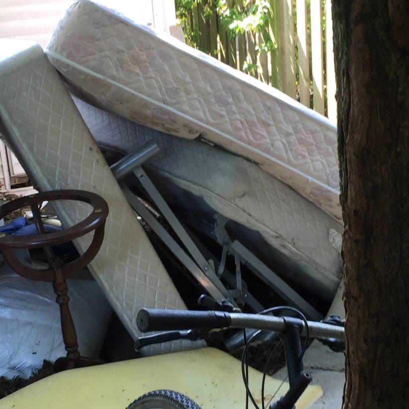 Student housing: The backyard of McMaster student Jeremy Biro's house in Hamilton, Ont.. (Photo, Jeremy Biro)