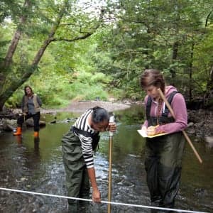Best environmental science universities in Canada: 2018 ranking