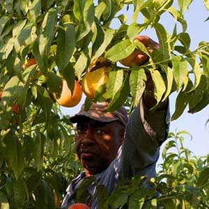 CONVERSATION_MIGRANT_WORKERS_FEATURE