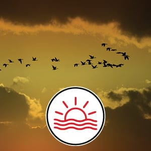 NAFTA_MOCK_FEATURE_5