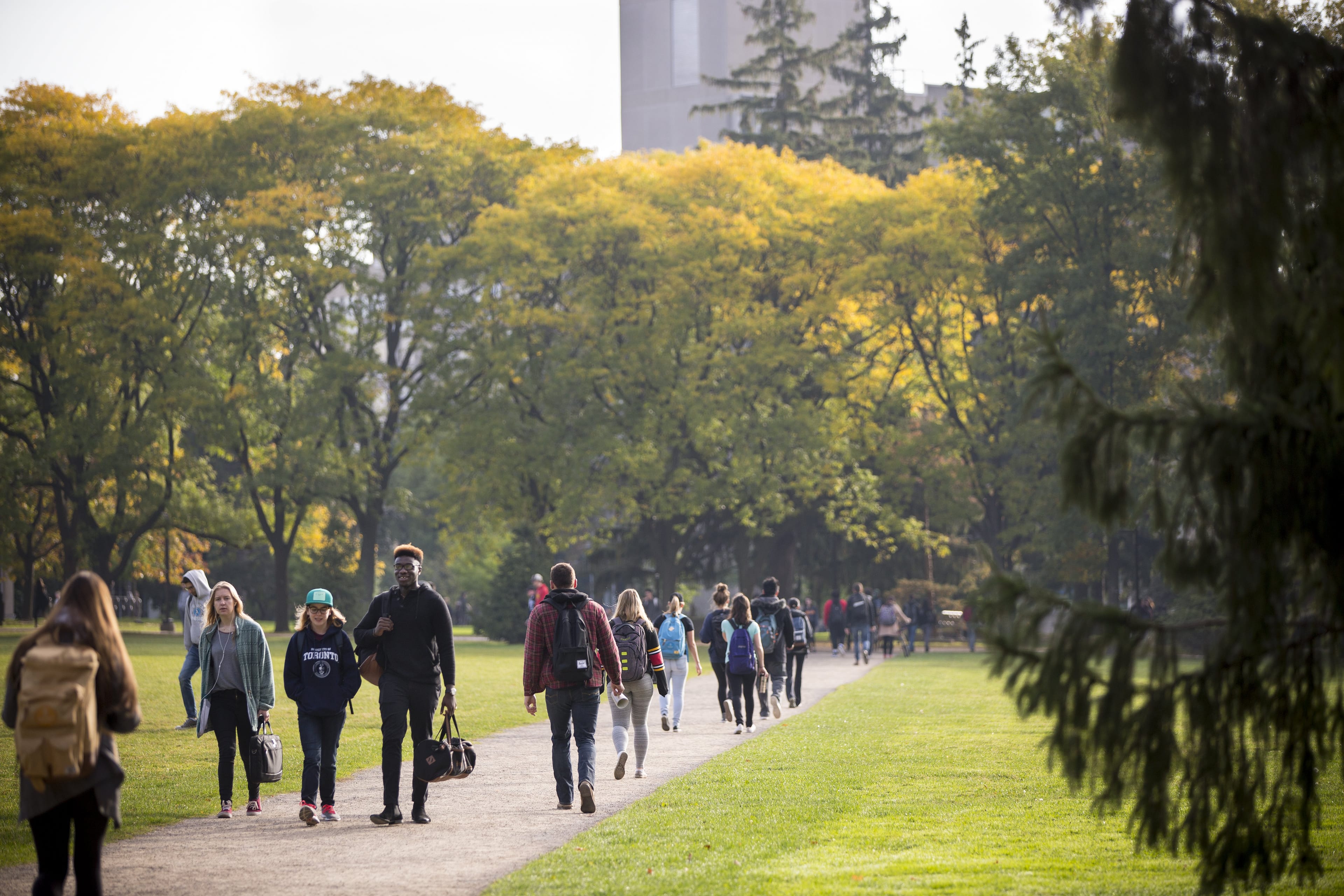 University of Guelph campus