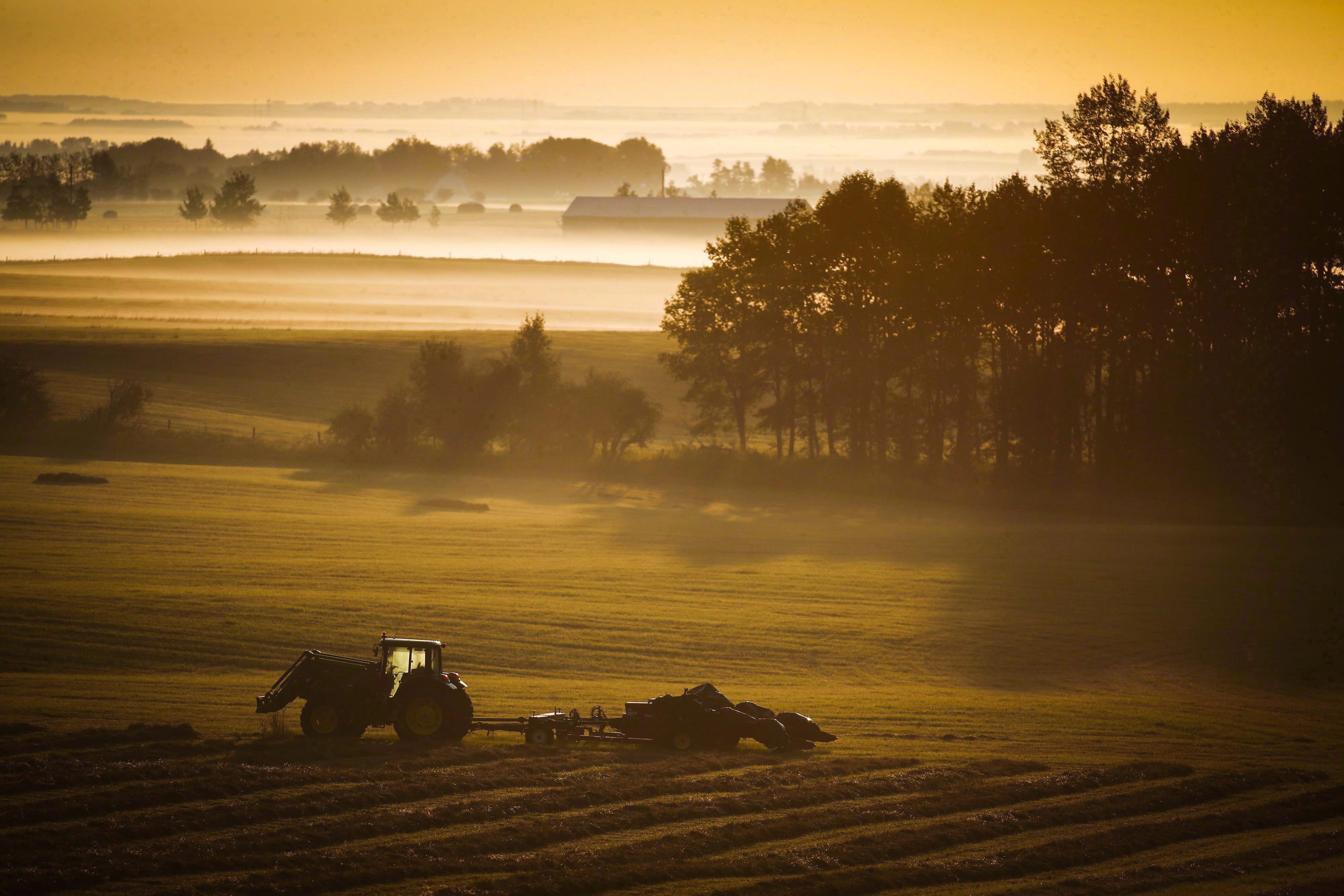 A farm tractor and baler sit in a hay field on a misty morning near Cremona, Alta., Tuesday, Aug. 30, 2016. (Jeff McIntosh/CP)