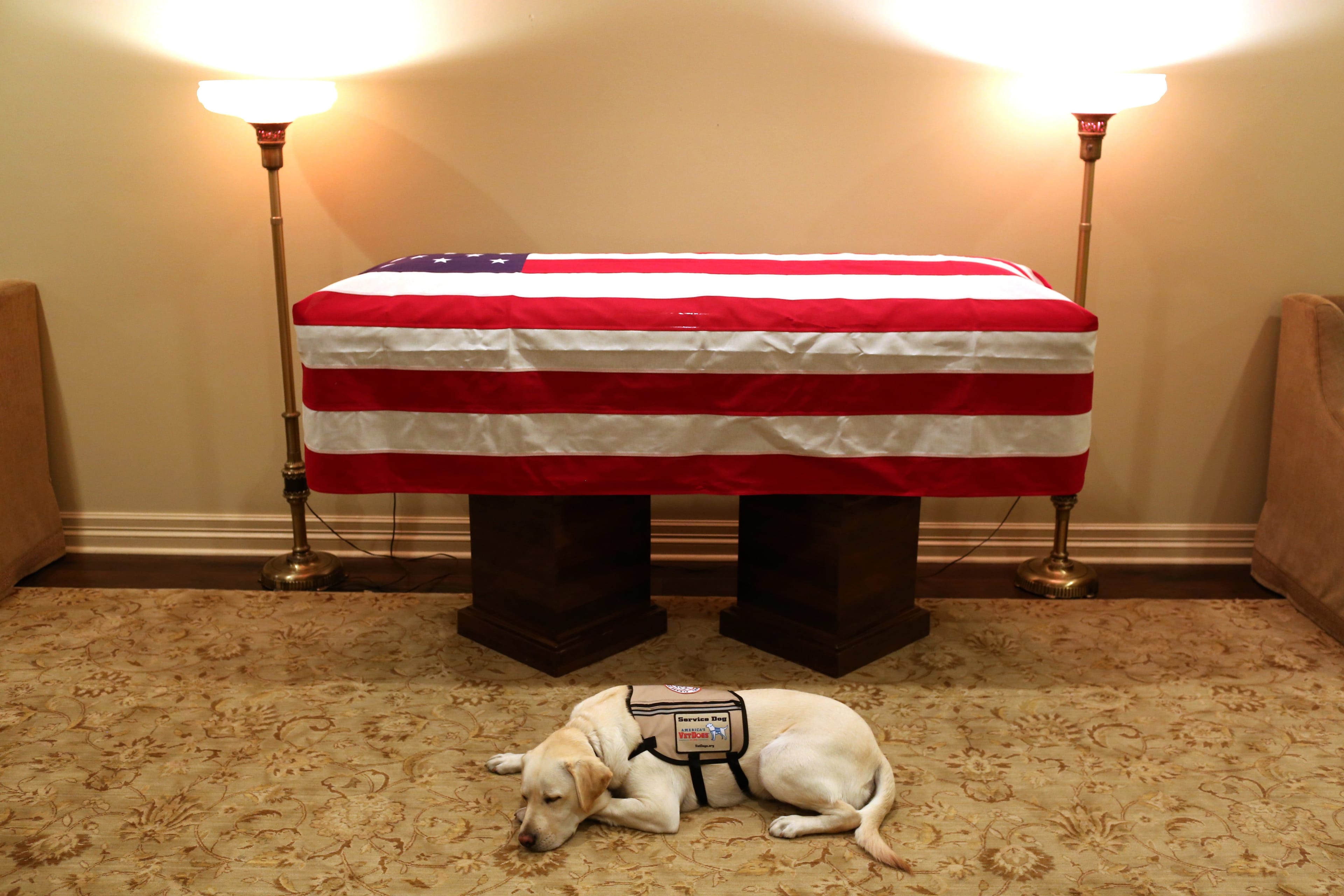 Sully, beside the casket of President George H.W. Bush. (Evan Sisley/Office of George H. W. Bush)