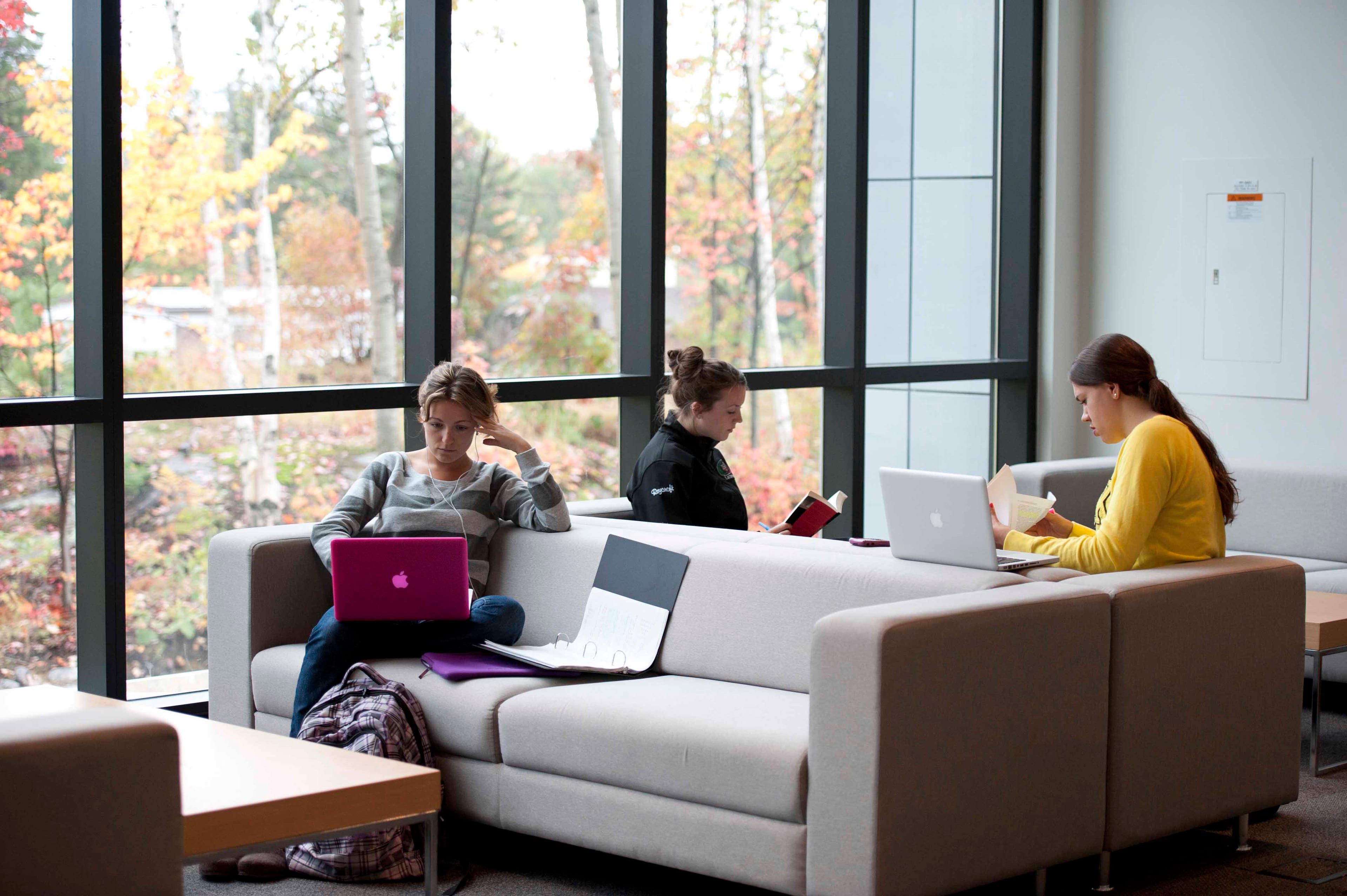 Nipissing University student studying in Harris Learning Centre
