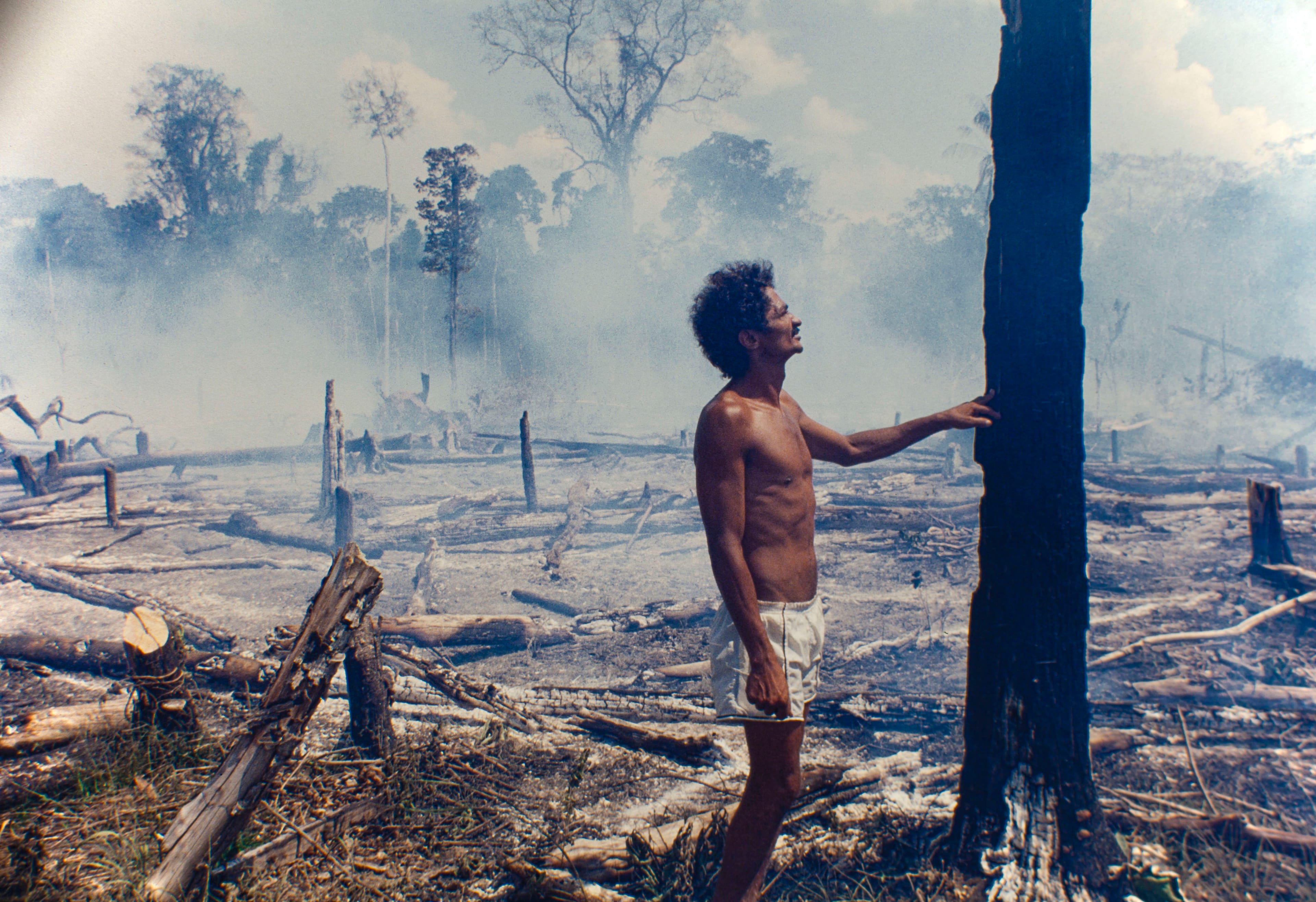 Logging, Amazon deforestation, slashed-and-burned patch of forest at Acre State, Brazil. (Ricardo Funari/Brazil Photos/LightRocket/Getty Images)