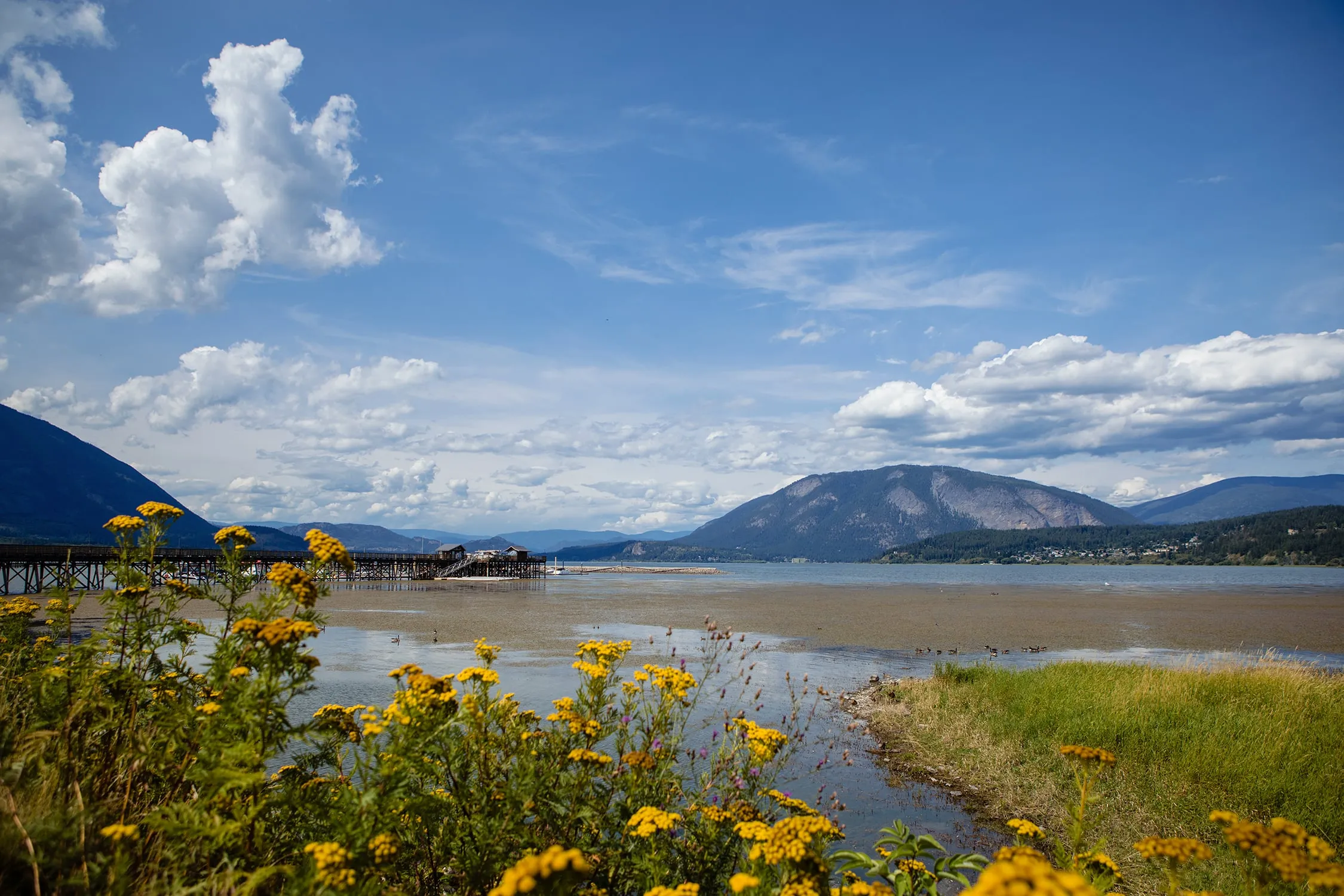 best places to live communities canada british columbia salmon arm