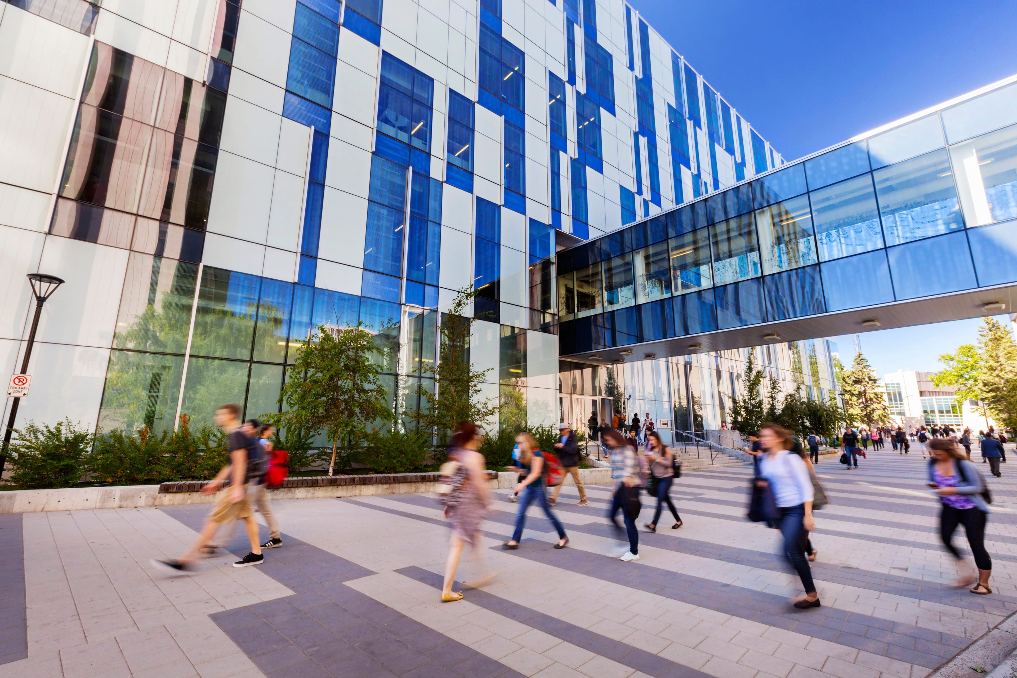 The University of Calgary campus. (Courtesy of the University of Calgary)
