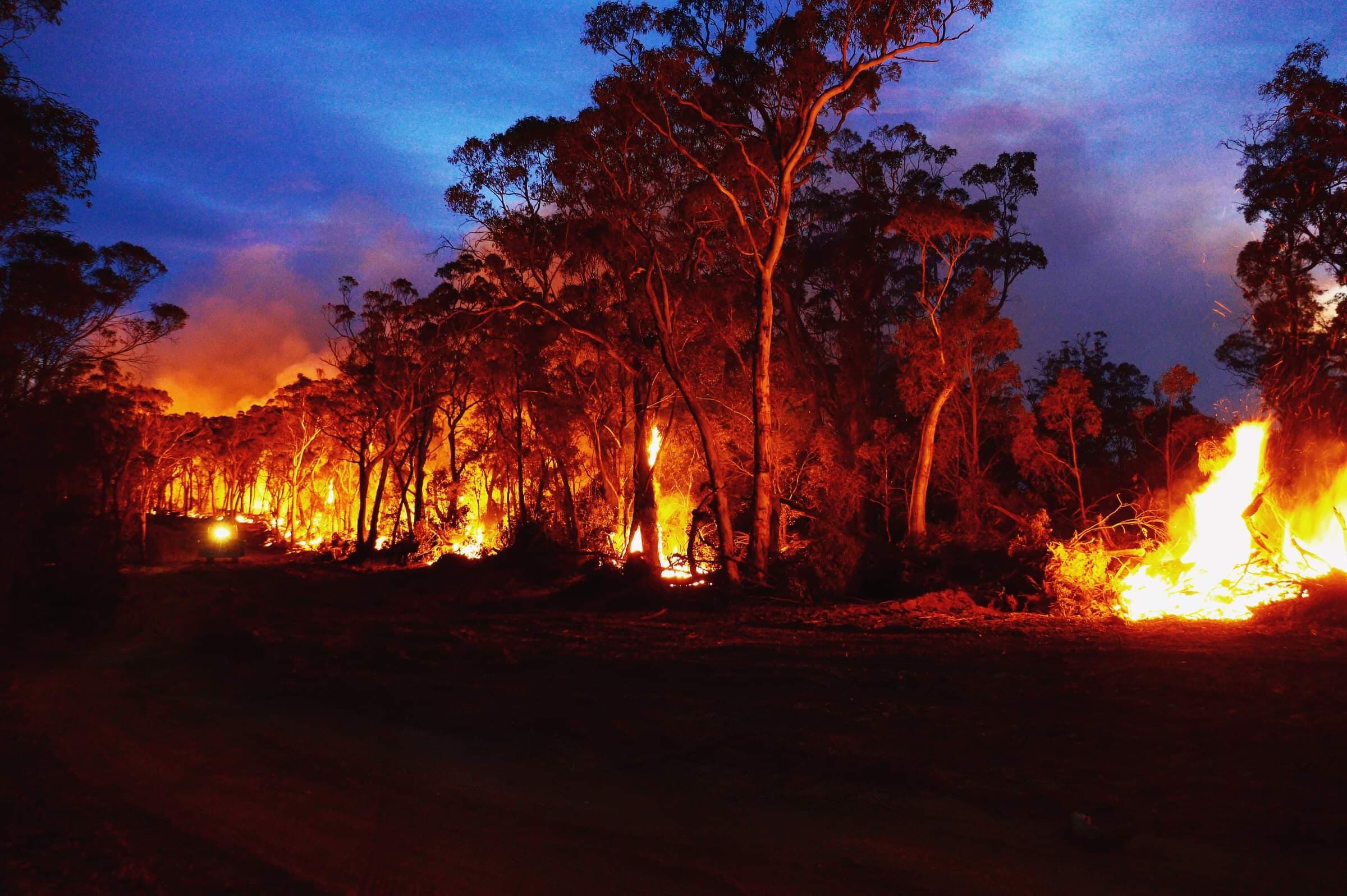 Canadians are on the front lines of Australia's 'mega-mega' wildfires