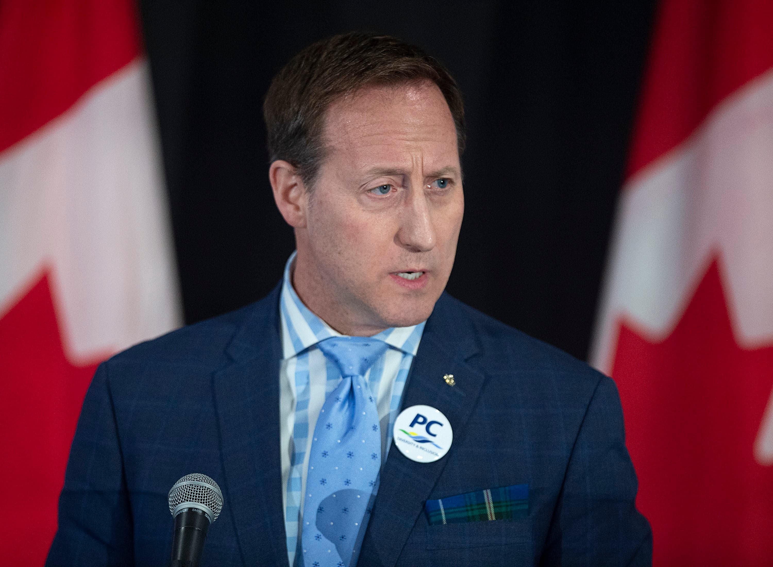 Andrew Scheer and Peter MacKay's throwback to civil-rights-era racial stereotypes