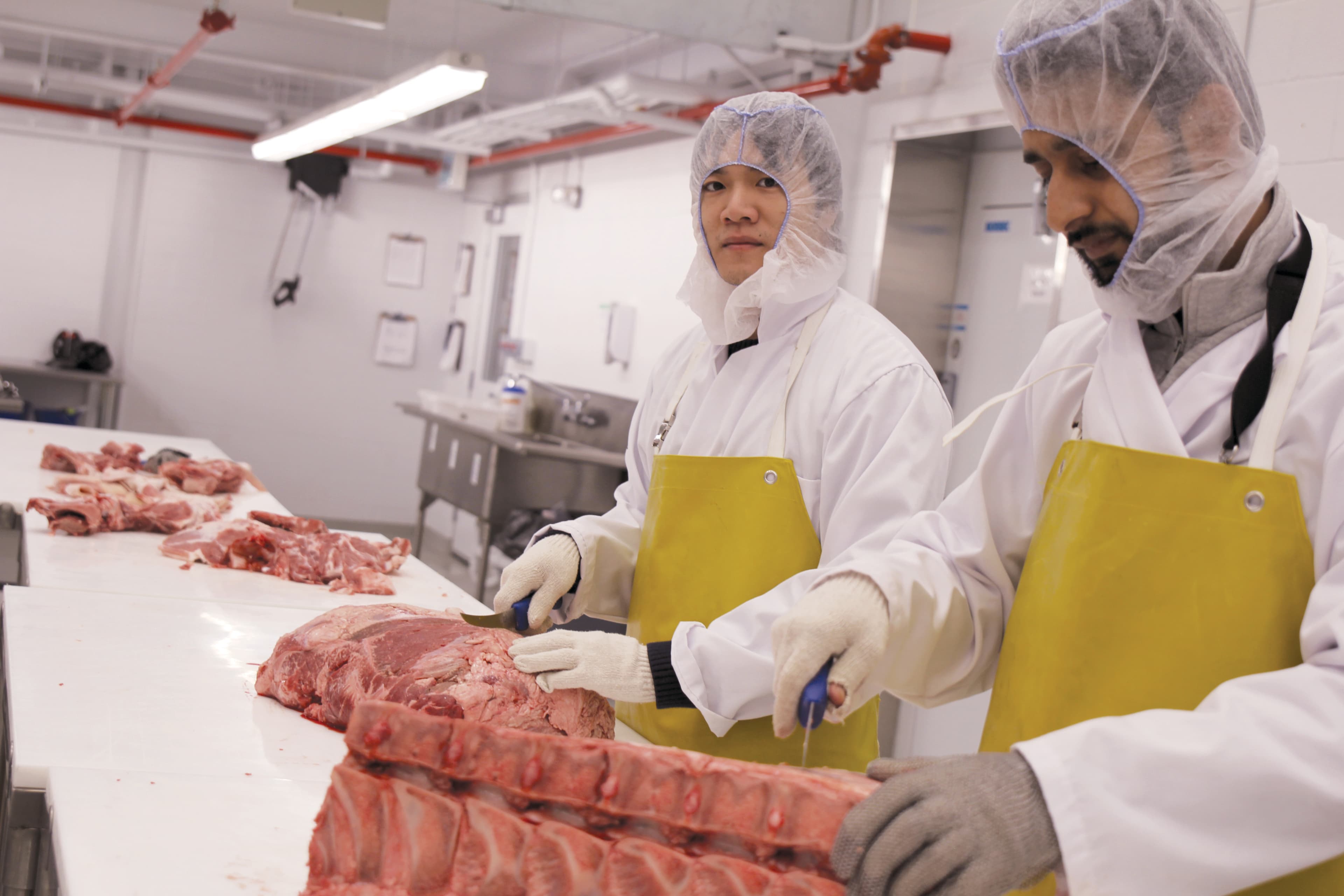 Students at the college’s brand-new Food Processing Centre for Animal Proteins (Courtesy of Assinibione Community College)