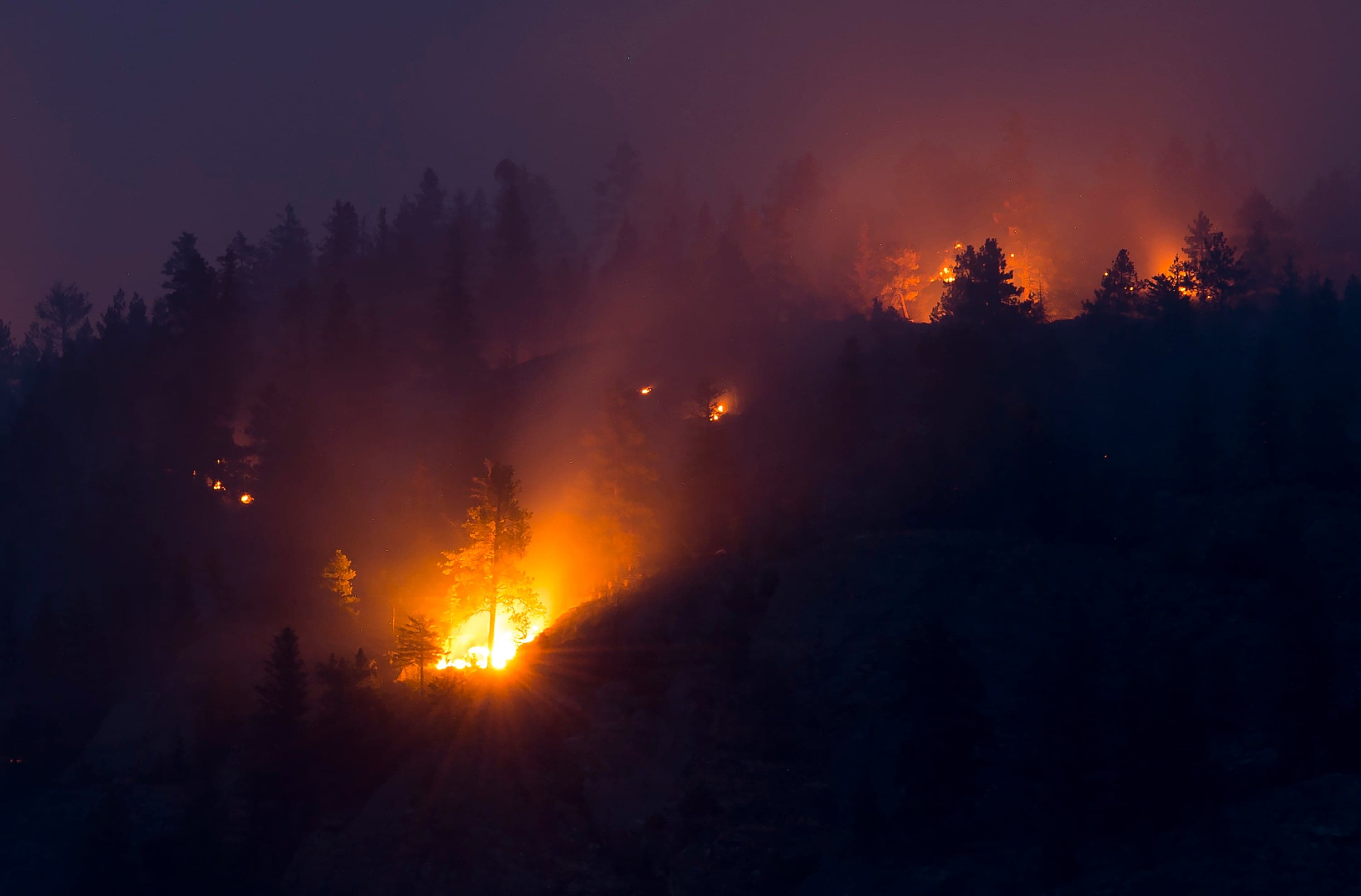 A new book calls on Canadians to mobilize for the climate crisis like World War II