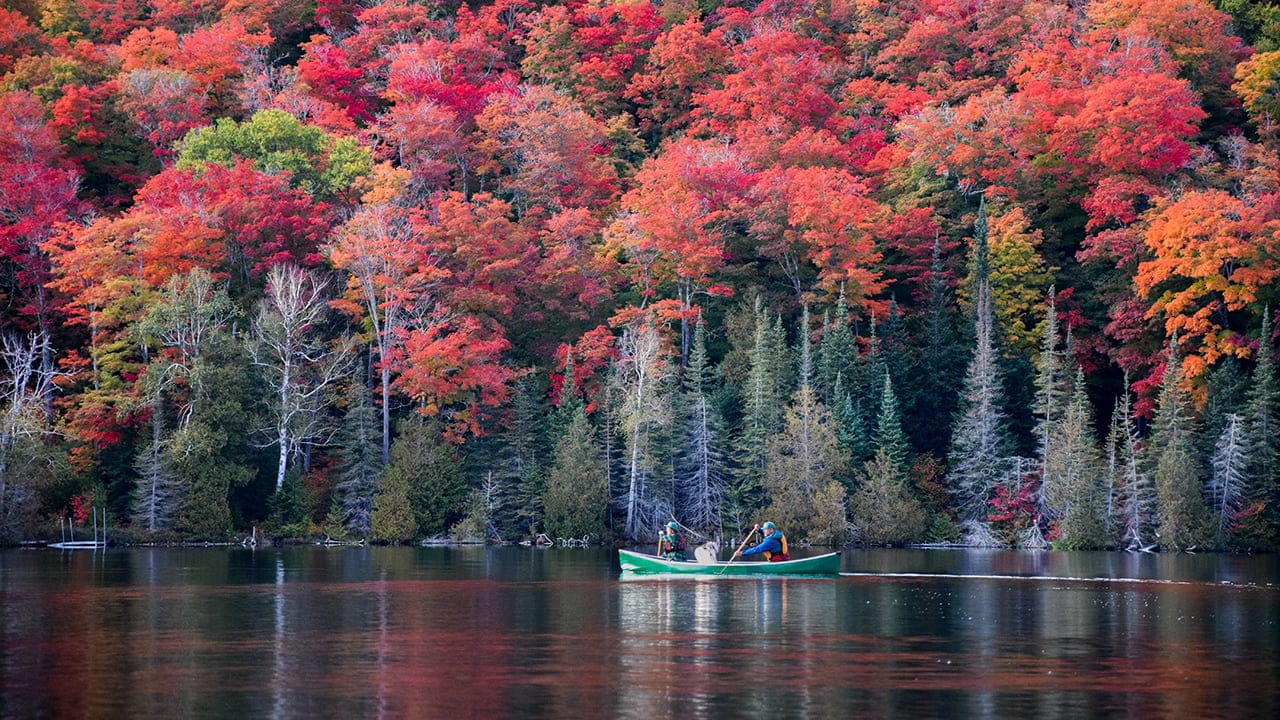 pair of canoers on a lake
