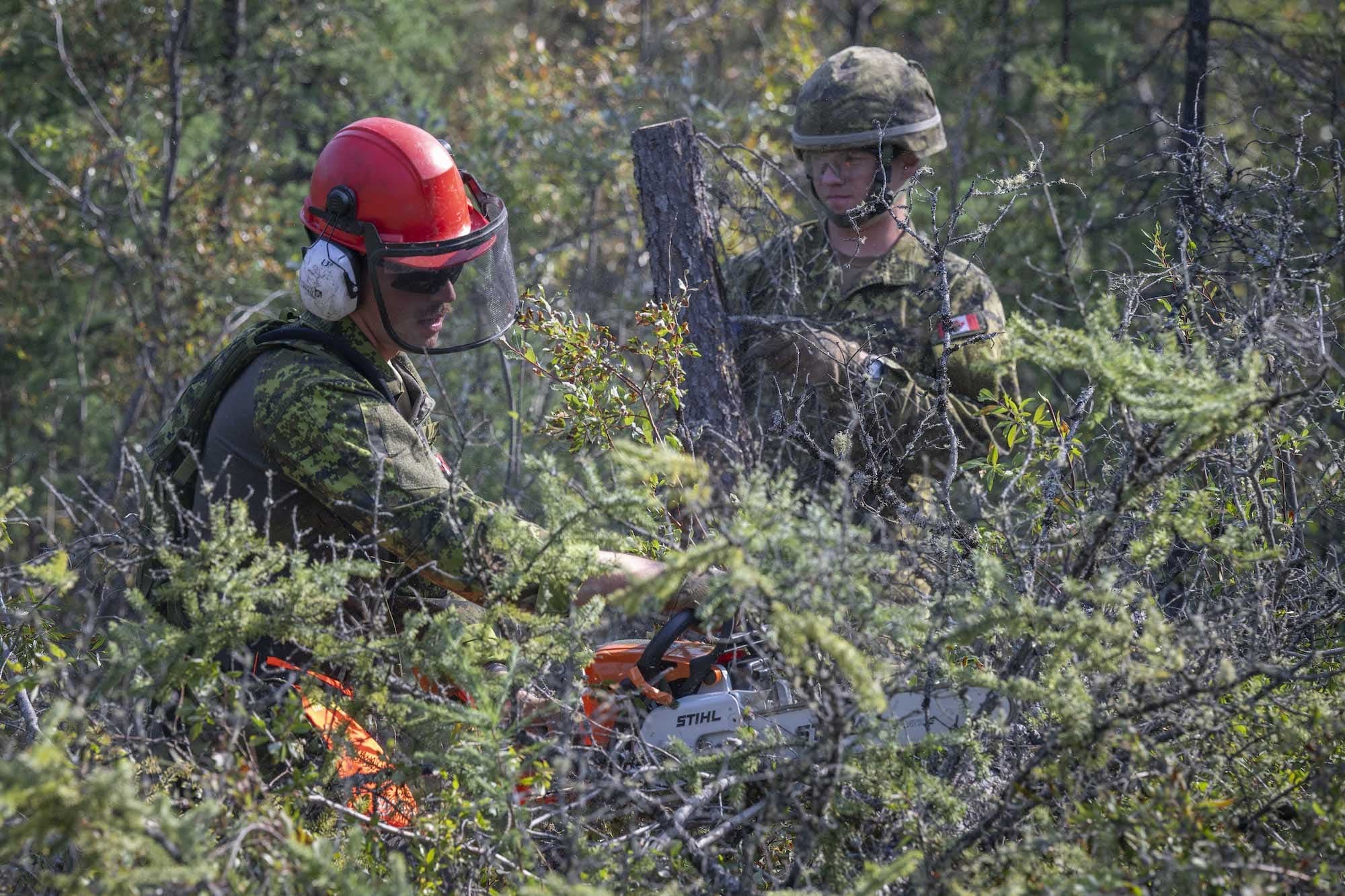 Two men wearing army fatigues and safety equipment use an chainsaw to cut trees