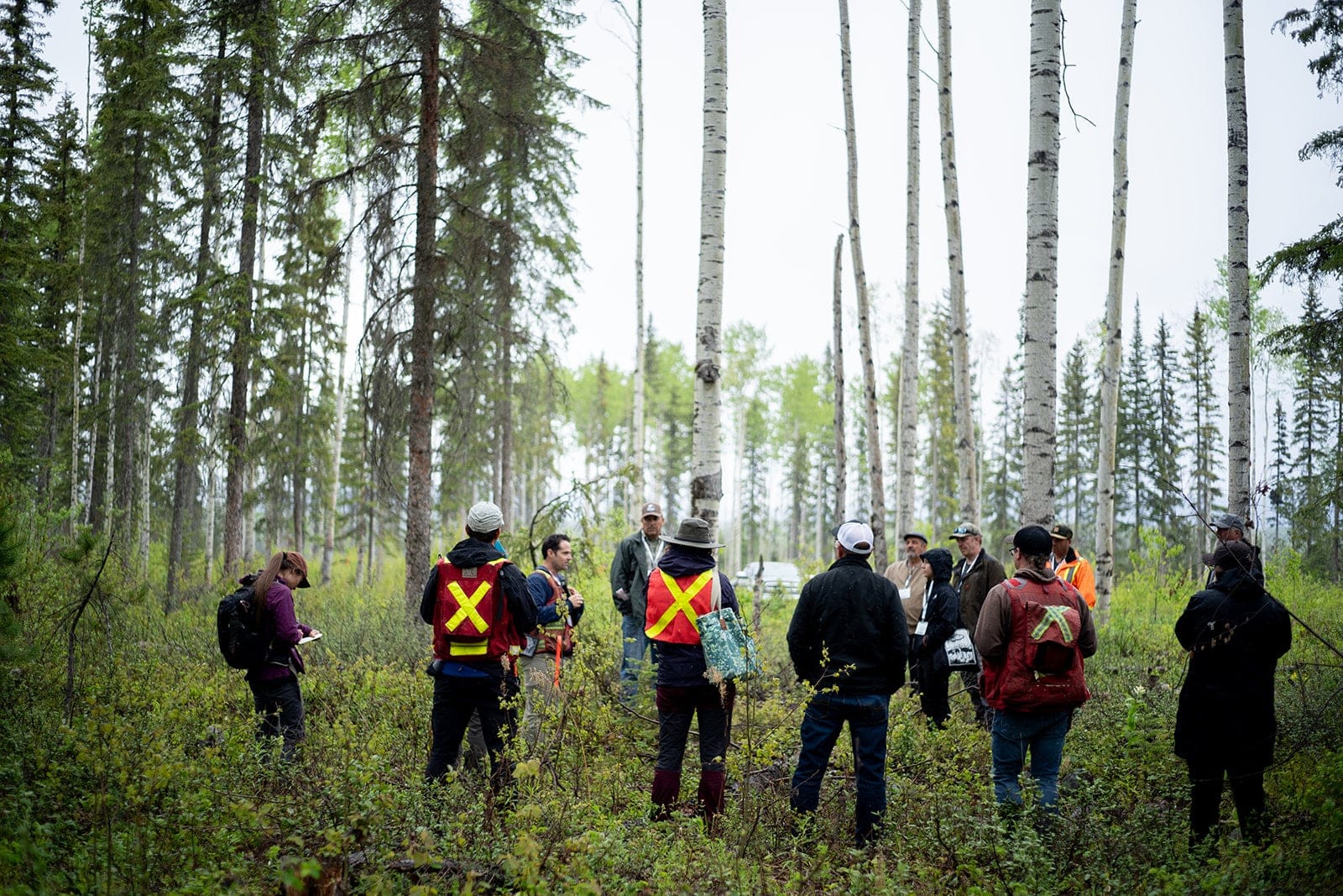 B.C. Community Forest Association members tour wildfire risk reduction
treatment areas in McLeod Lake Mackenzie Community Forest