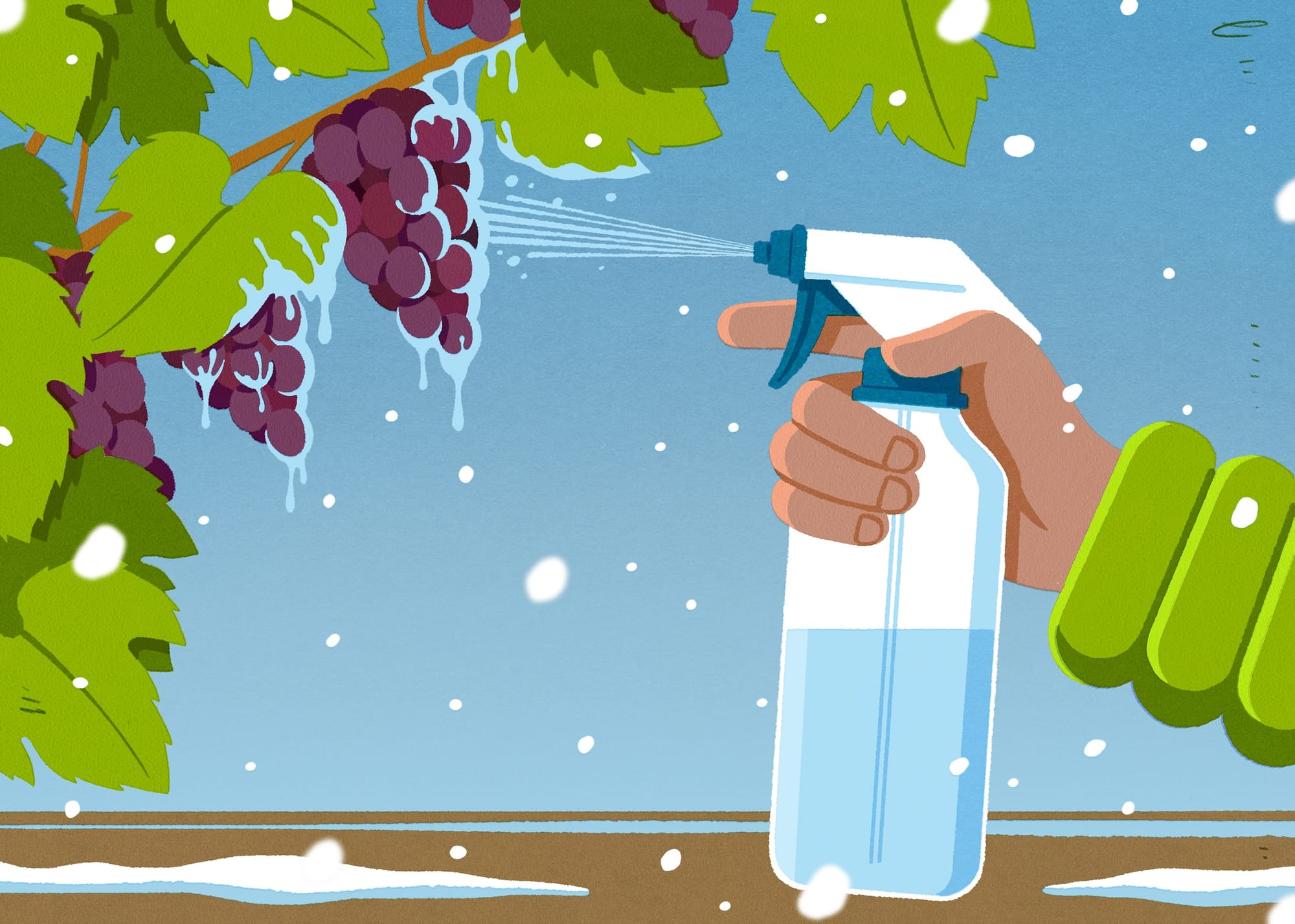 Thanks to extreme weather, the country’s vines (and wineries) have never been more vulnerable. A new, Canadian-made spray could help them survive.