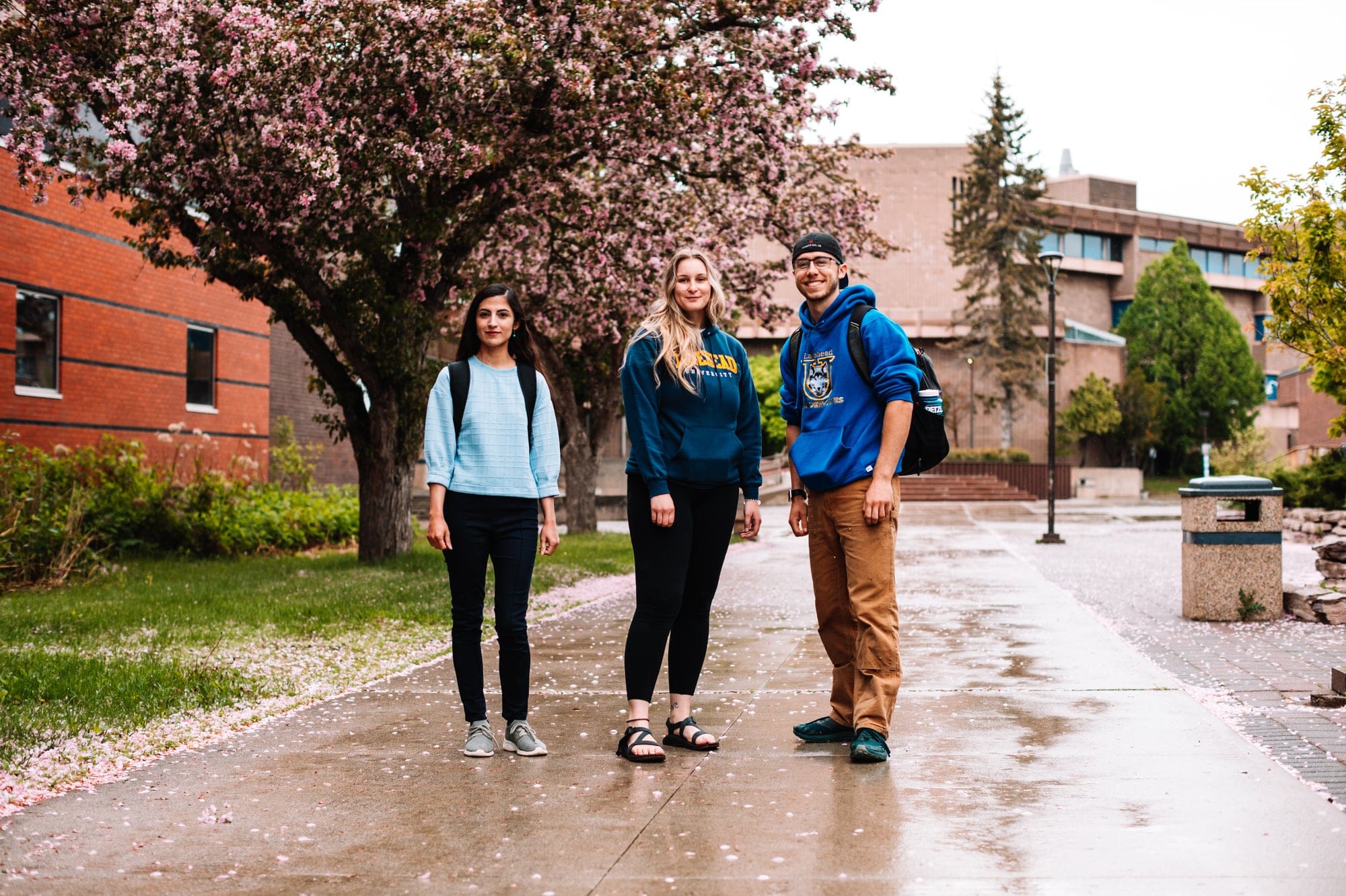 LAKEHEAD_UNIVERSITY_MACLEANS_UNIVERSITY_GUIDE_RANKINGS_Lakehead Thunder Bay Cherry Blossom Trees