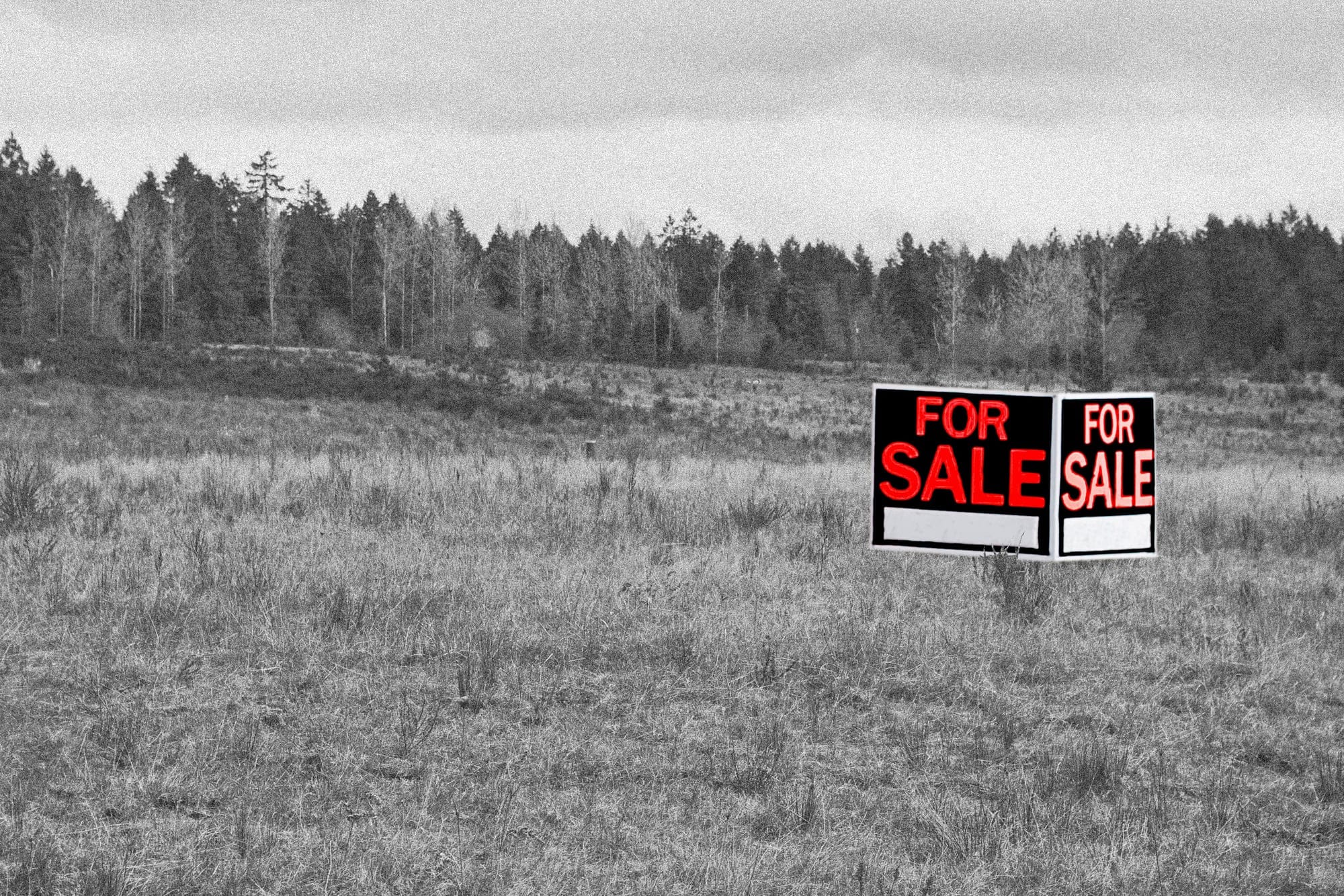 A For Sale sign in the middle of a grassy field