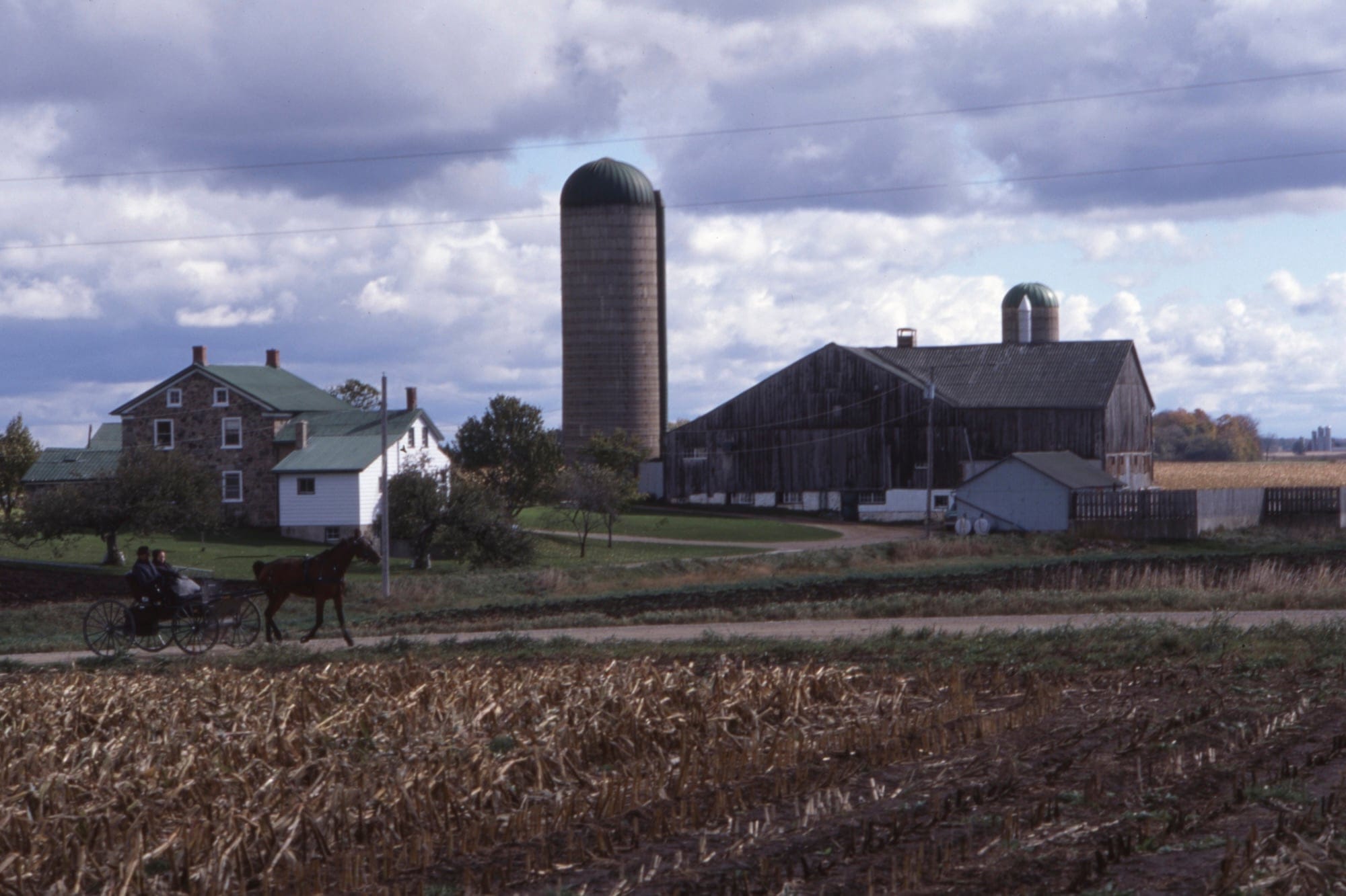 A long shot of a farm on a cloudy day. There are rolling fields in front. A man drives a horse and buggy down the road to the farm.