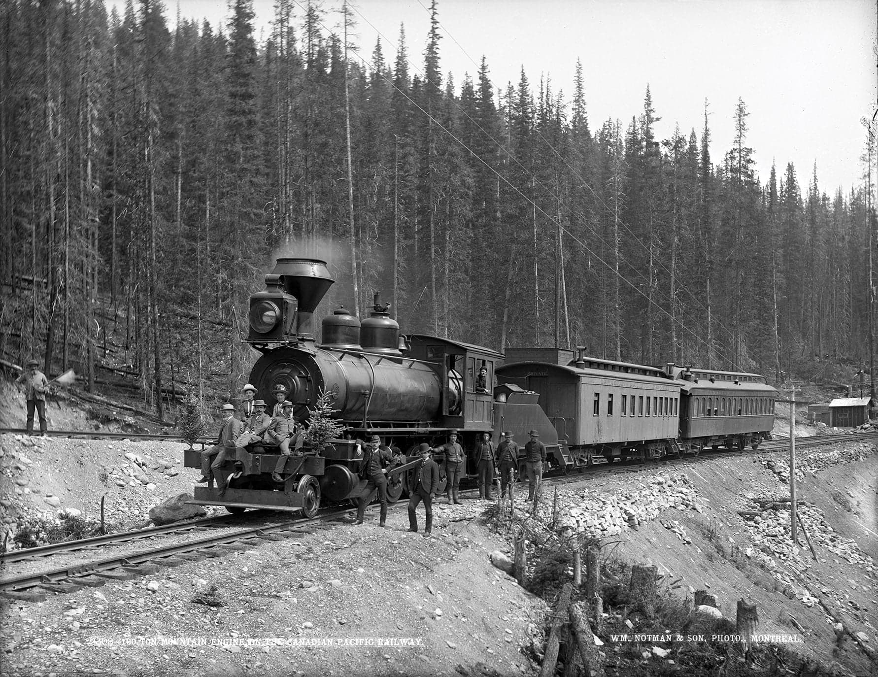 A black steam engine train travelling through a forest