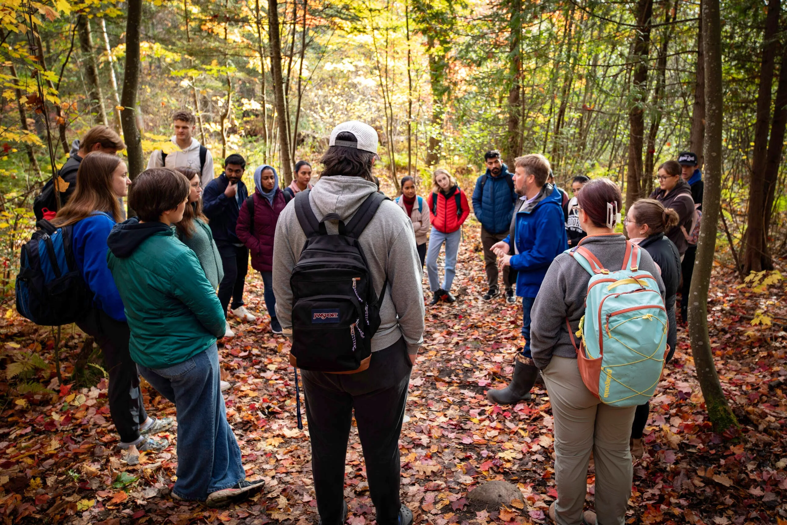 Students in a fall forest, surrounded by leaves