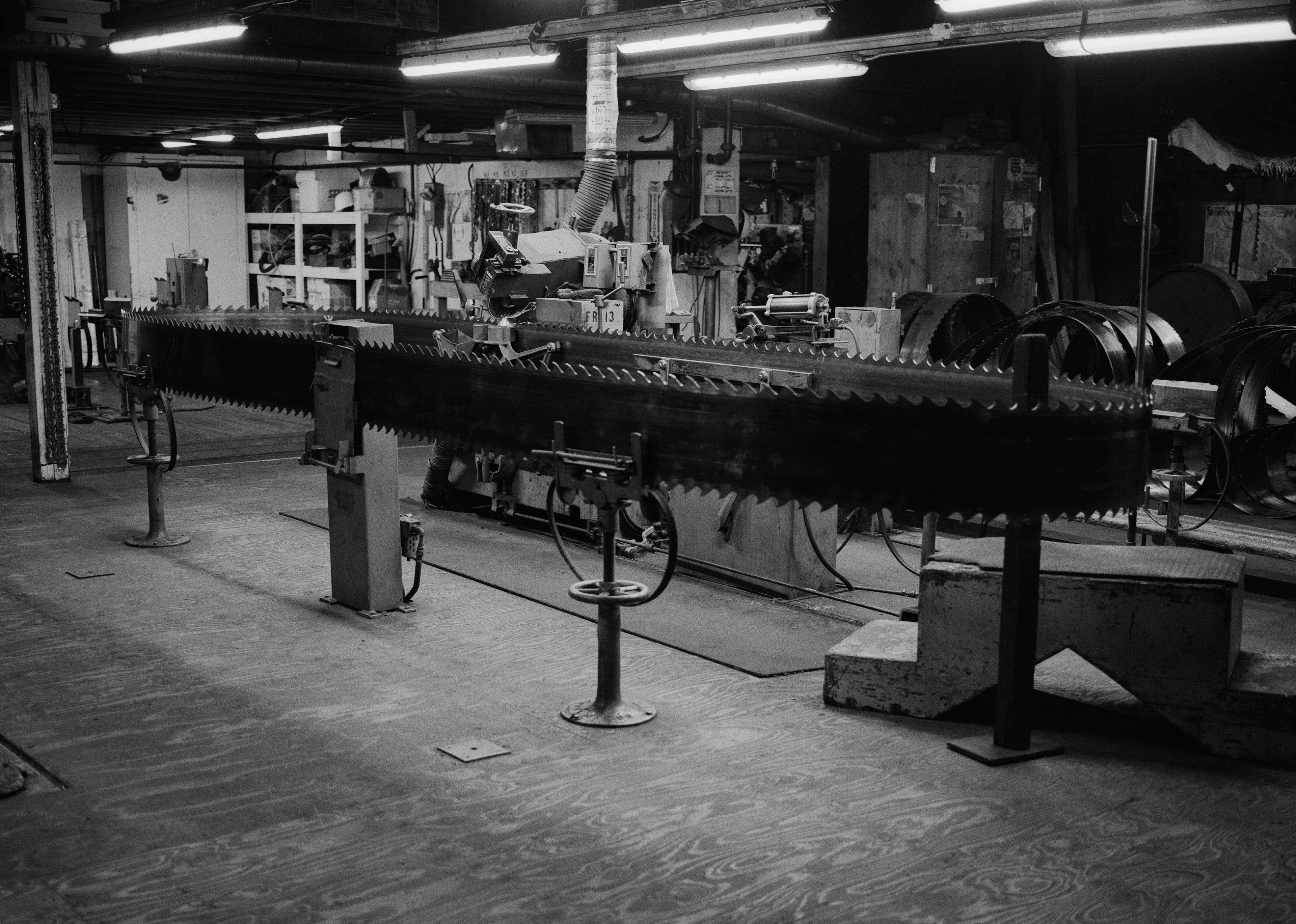 A massive band saw blade on a table inside a workshop