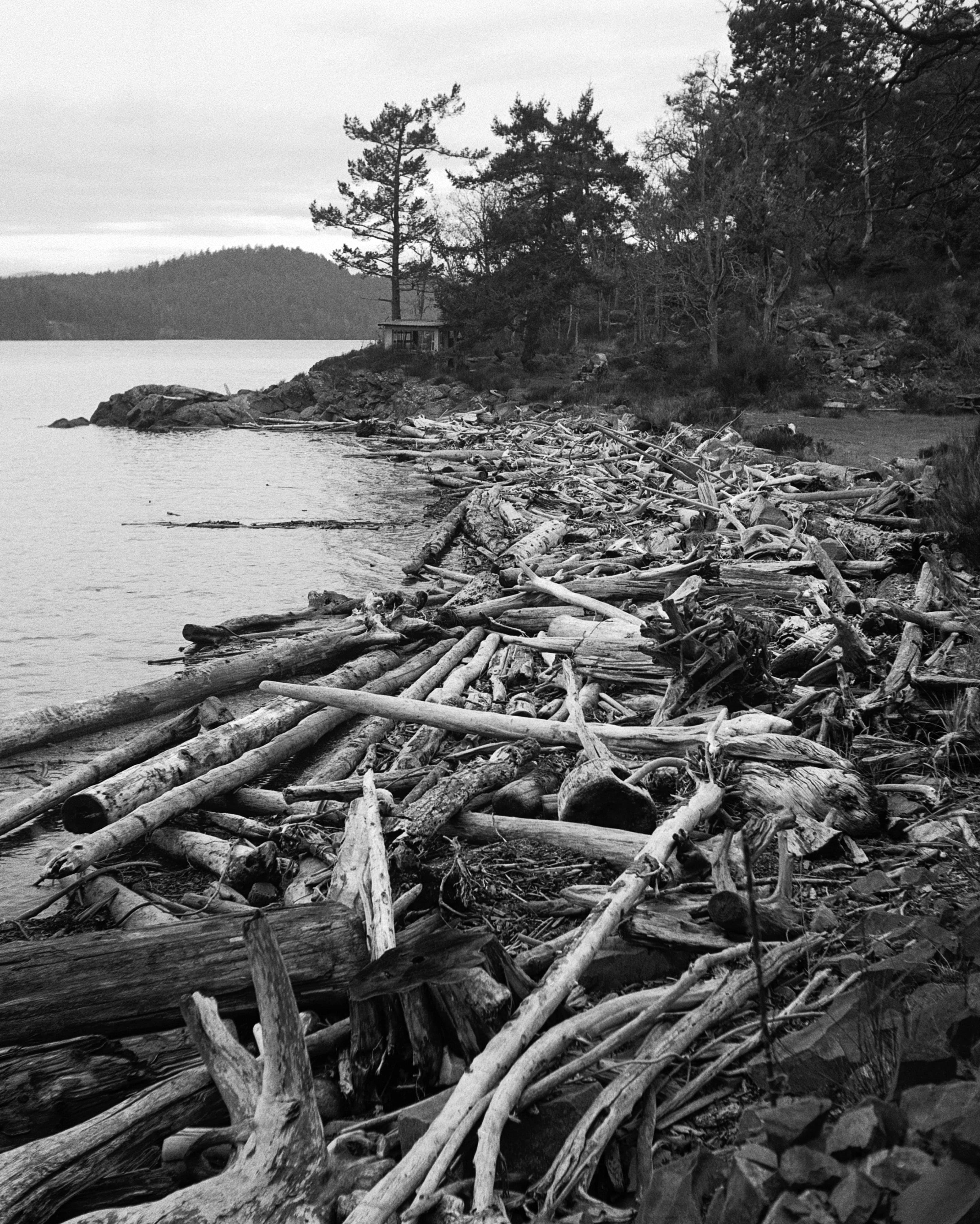 Lumber floating on the shore of a body of water