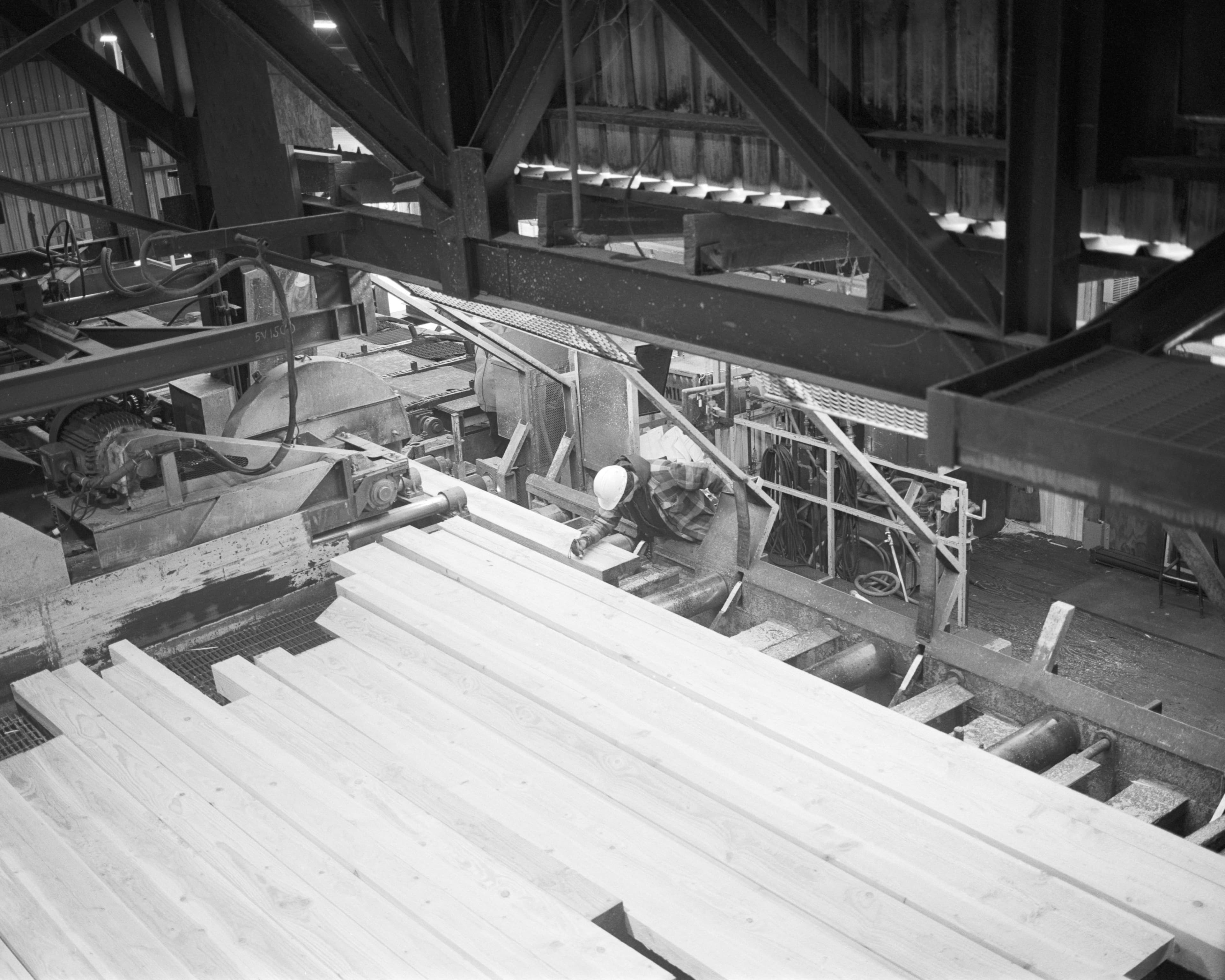 Freshly-cut boards inside of a sawmill