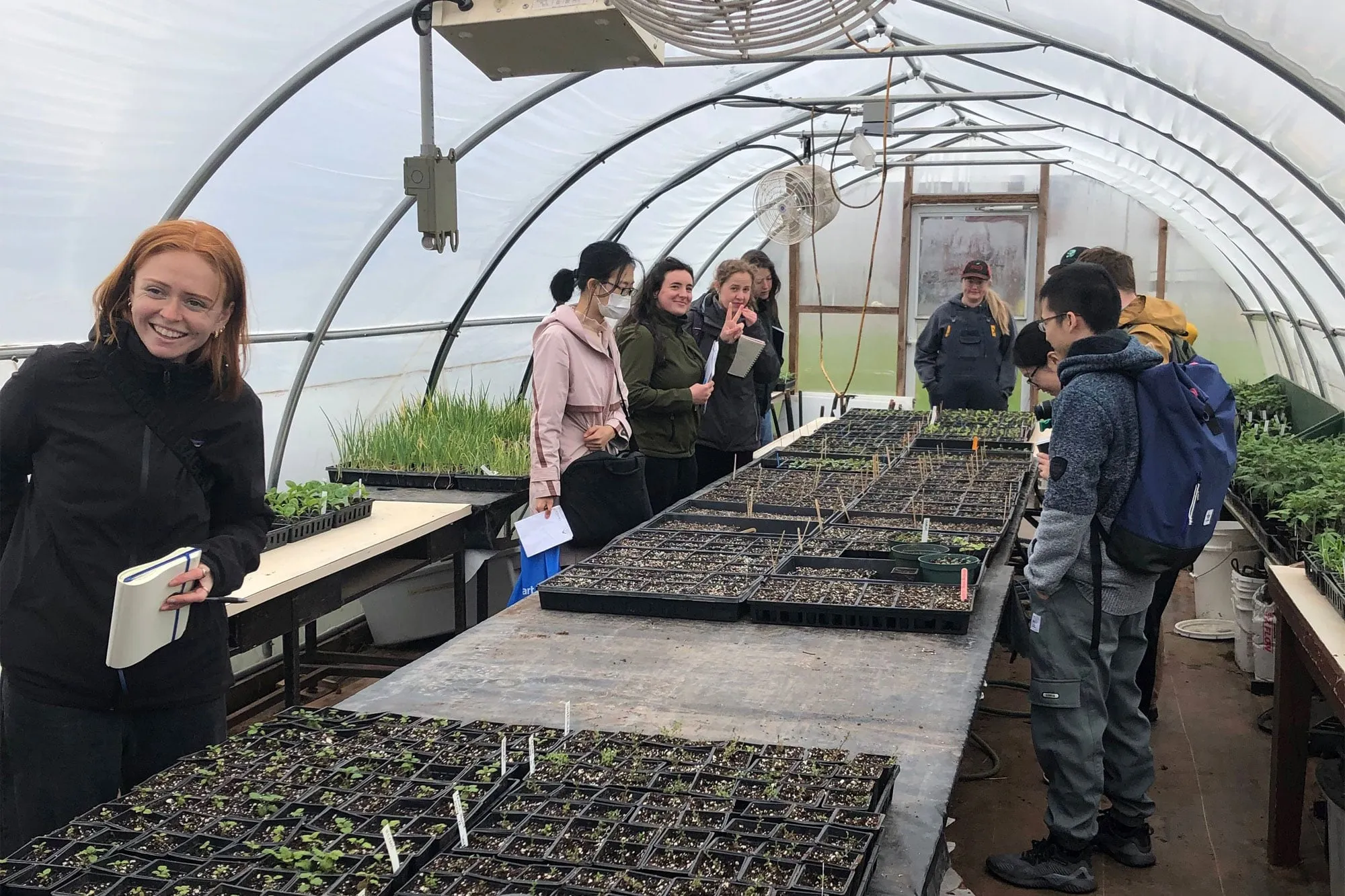 Students in a green house looking at seeding plants on a table