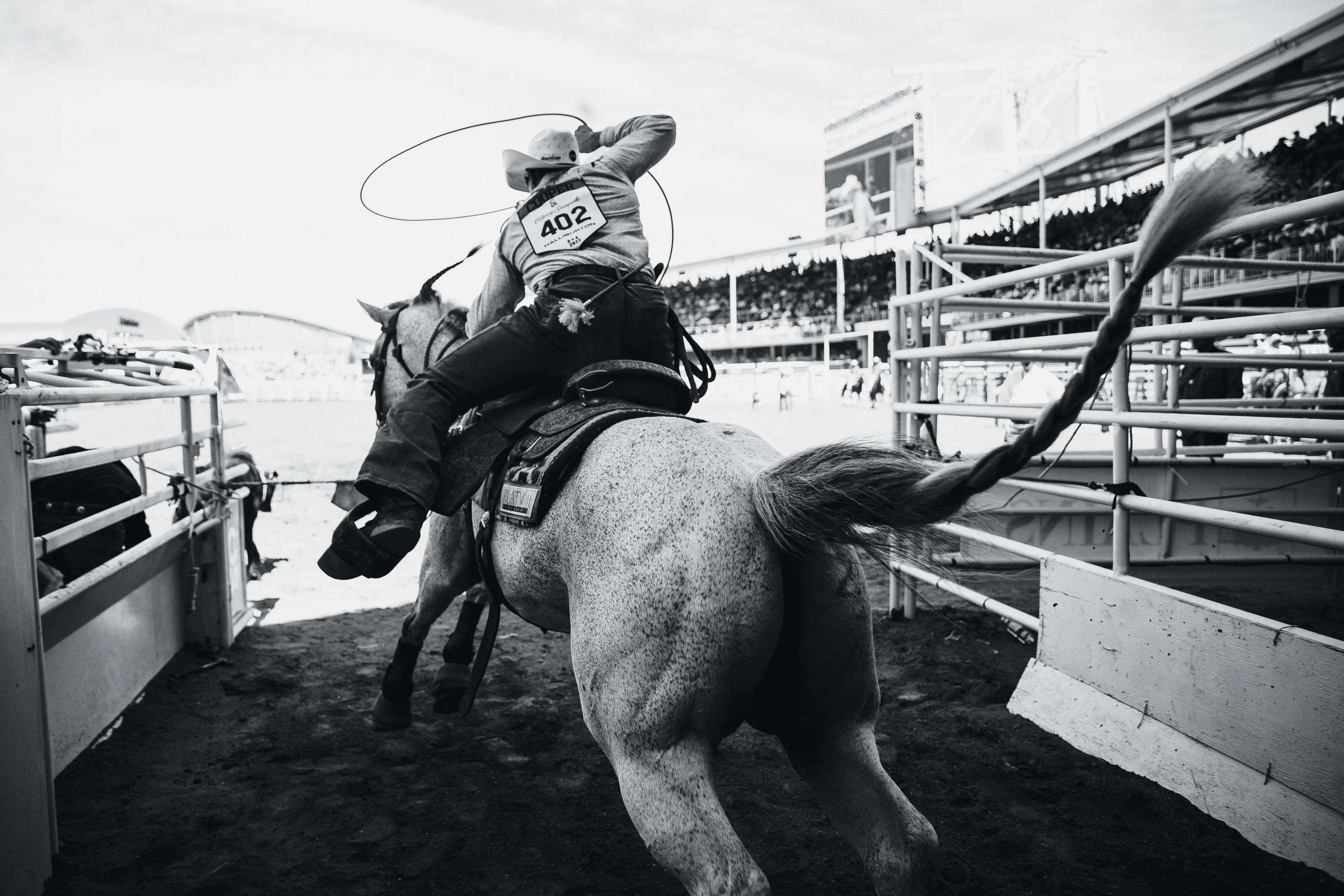 A cowboy raising a lasso over his head as he rides a horse
