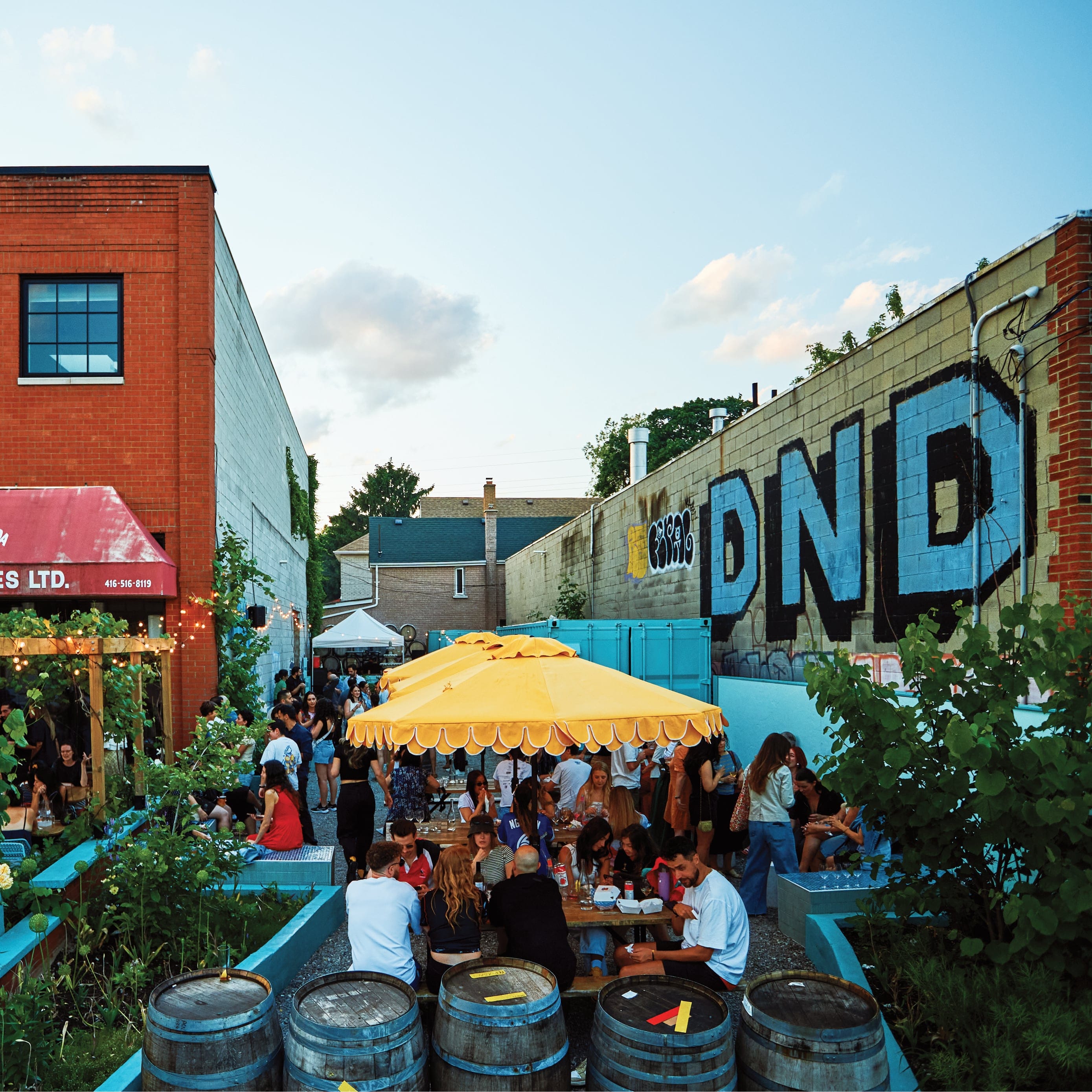 Restaurant's patio under the blue sky, surrounded by the brick wall, flower gardens and the barrels. People eating at tabes under the bright yellow umbrellas