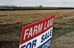 Real estate: today's bidding wars are for farmland