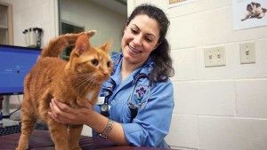 University of Prince Edward Island veterinary student with a cat